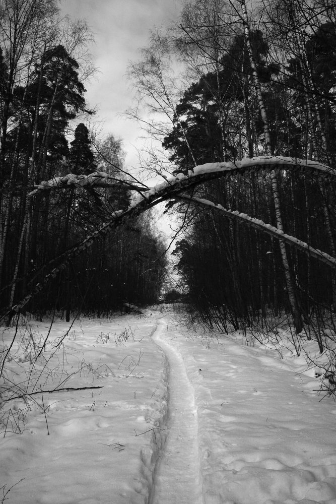 фото "Тропинка" метки: пейзаж, зима, лес