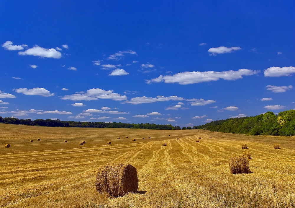 photo "***" tags: landscape, summer