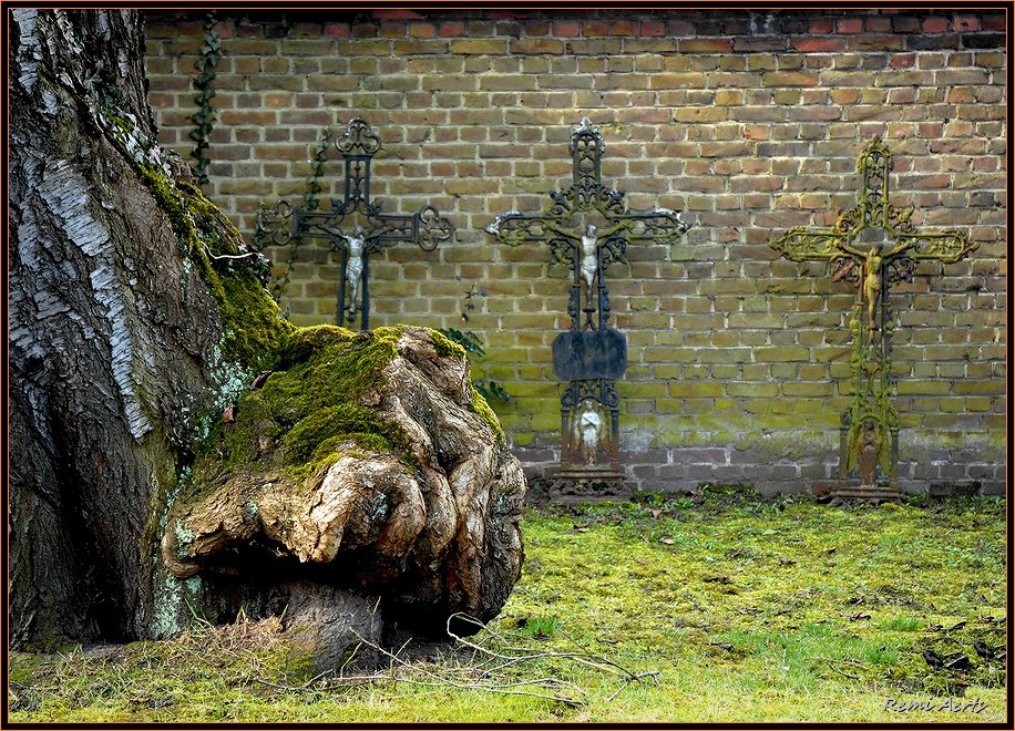 фото "old cemetery" метки: пейзаж, природа, цветы