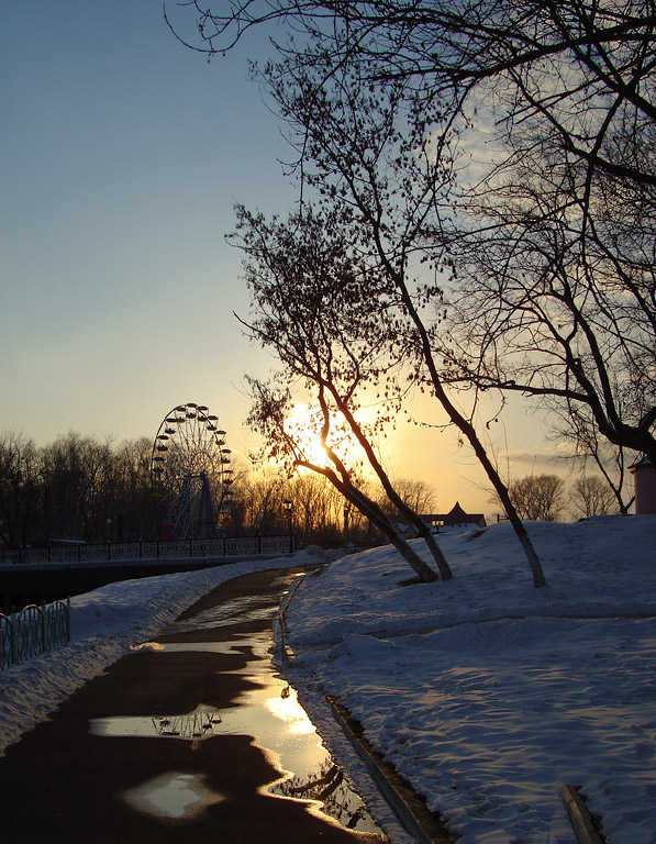 photo "Spring Gold" tags: landscape, spring