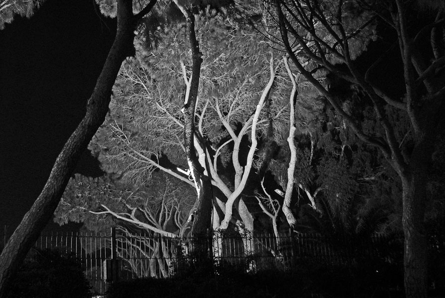 фото "Black and white dreams" метки: пейзаж, ночь