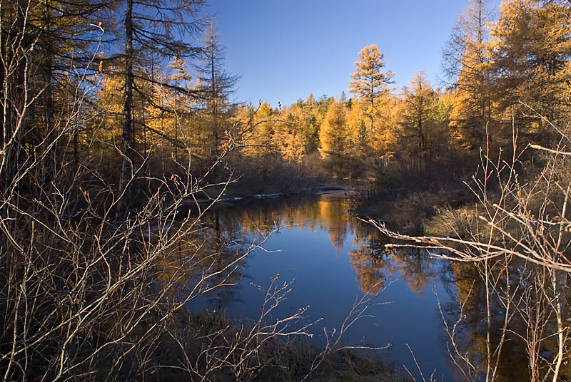 фото "Лазурь и золото" метки: пейзаж, вода, осень