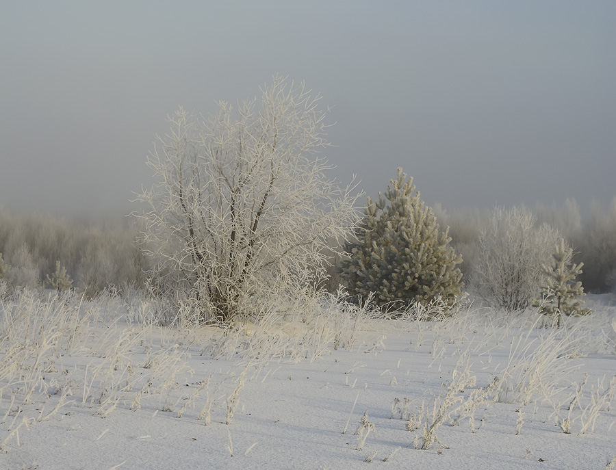 photo "***" tags: landscape, winter