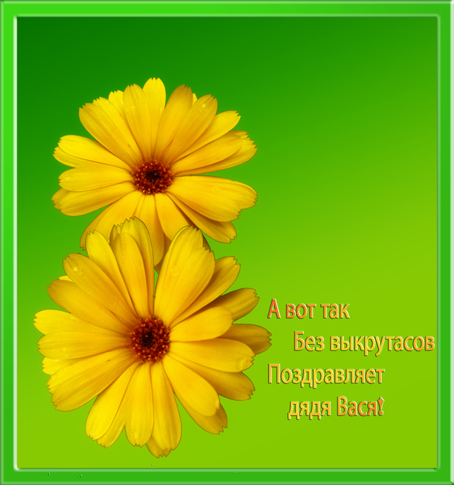 photo "***" tags: misc., 