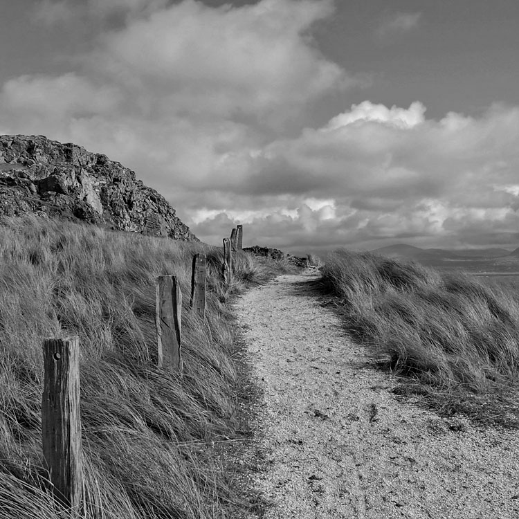 photo "Anglesey, North Wales" tags: black&white, landscape, 