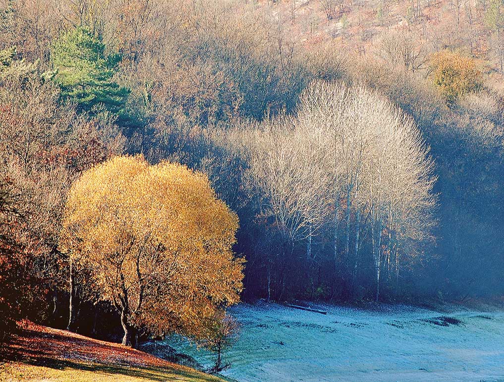 photo "***" tags: landscape, forest, mountains