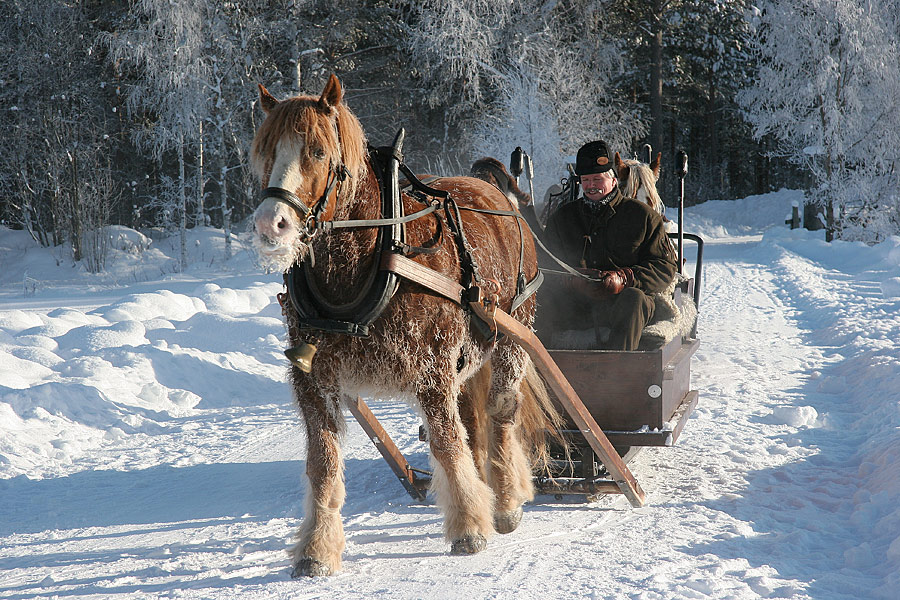 фото "Trip in cold weather..." метки: жанр, 