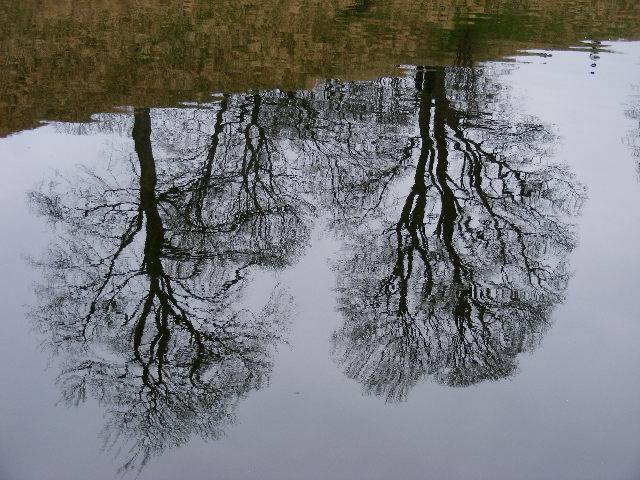 фото "Reflection." метки: пейзаж, вода