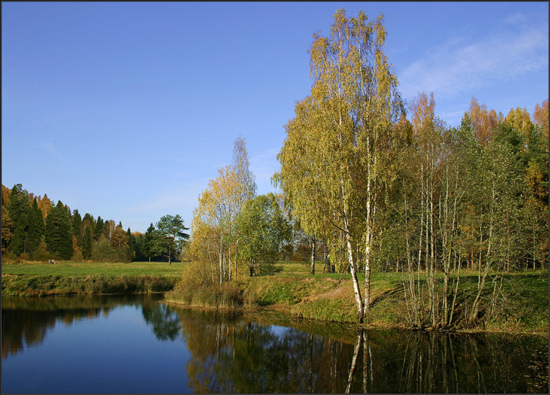 фото "Тёплая осень" метки: пейзаж, лес, осень