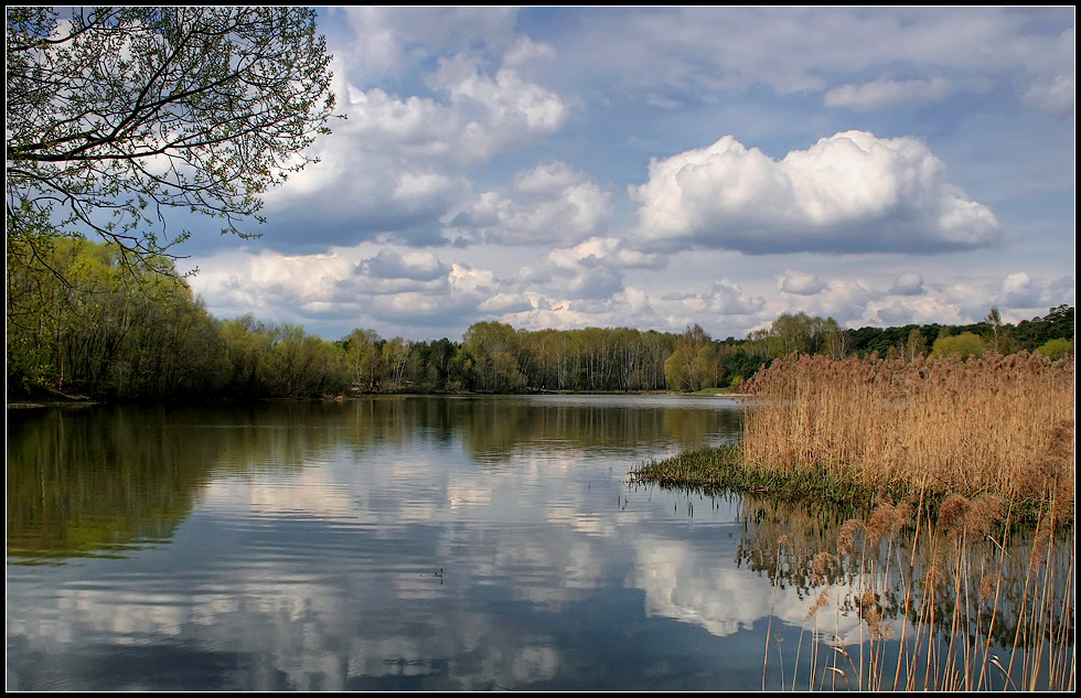 photo "Spring" tags: landscape, spring, water