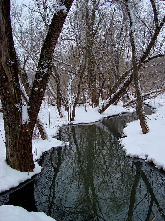 photo "Beginning March" tags: landscape, spring