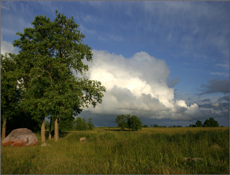 photo "Evening shores of Lake Seliger" tags: landscape, summer