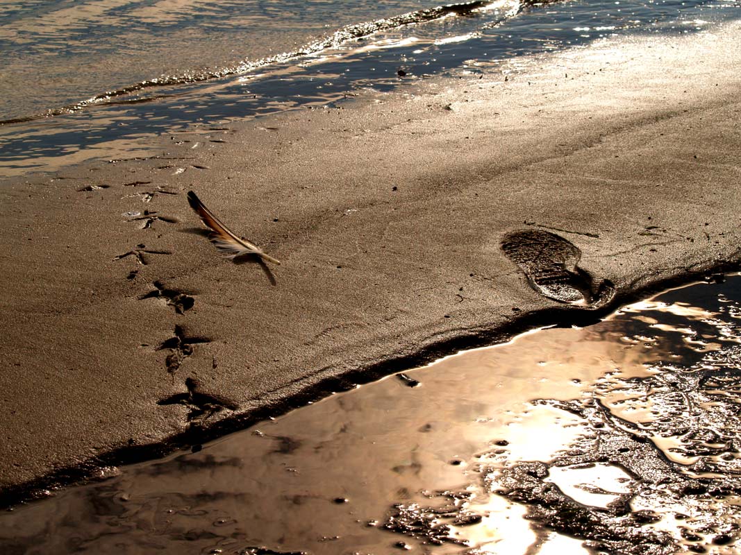 photo "The Paths of Birds and Men" tags: abstract, 