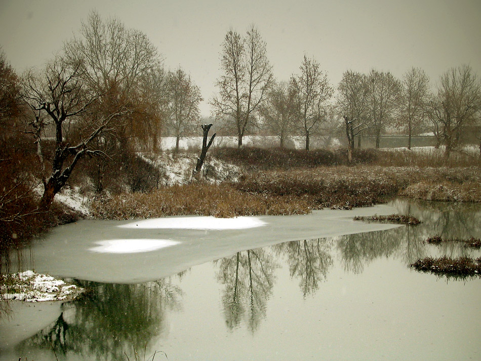 photo "***" tags: landscape, winter