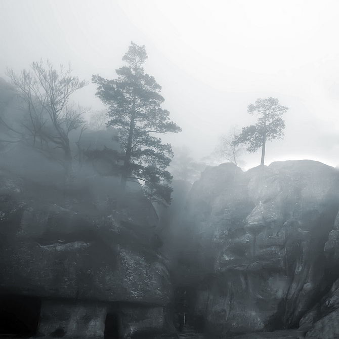 фото "Чудище в тумане" метки: пейзаж, весна, лес