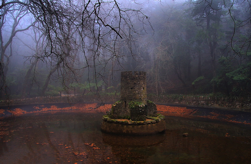 photo "***" tags: landscape, forest