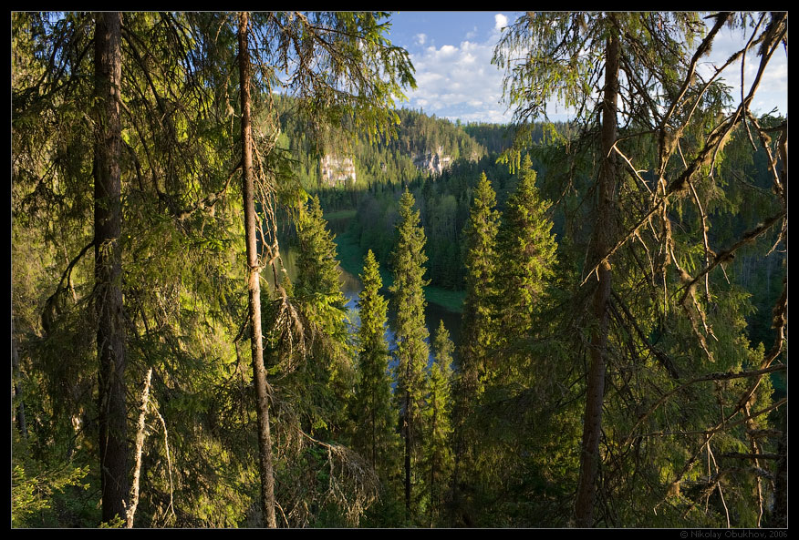 фото "Тайга / 0159_0088" метки: пейзаж, лес, лето