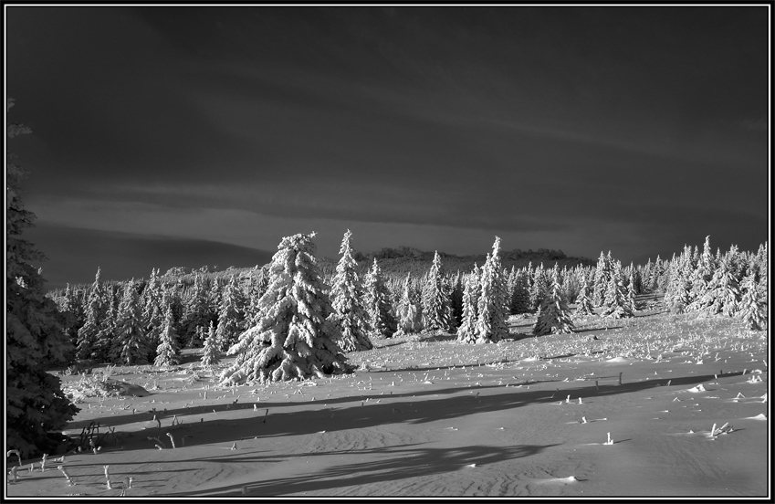 фото "В снегах" метки: пейзаж, горы, зима