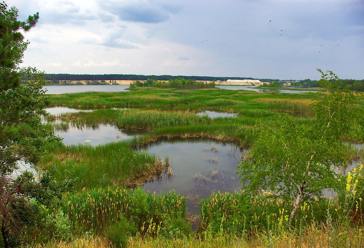 photo "***" tags: landscape, summer, water