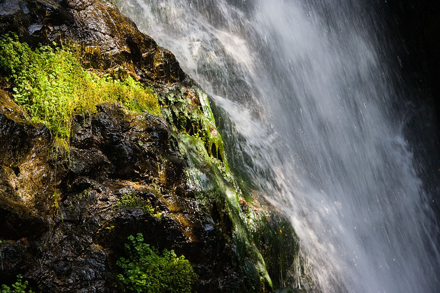 фото "." метки: природа, 