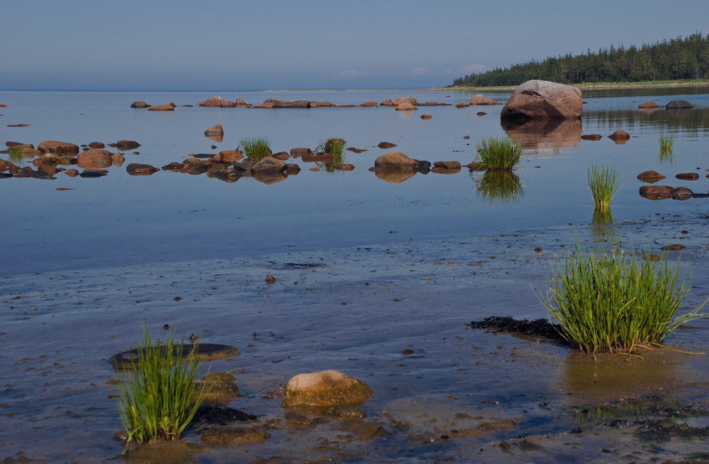photo "Полуденный отлив" tags: landscape, water
