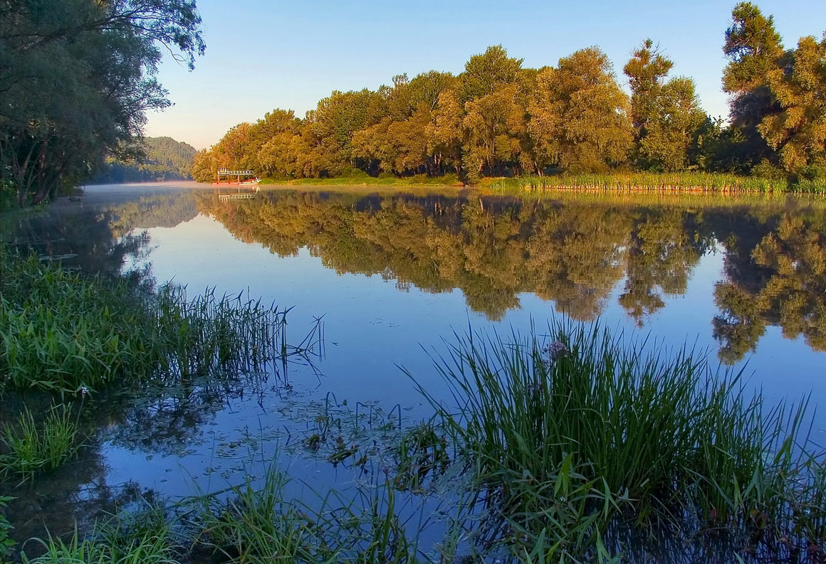 photo "***" tags: landscape, forest, summer