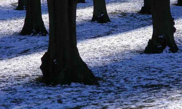 фото "Shadow." метки: репортаж, 