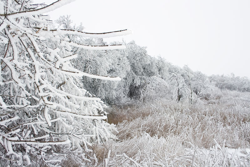 photo "***" tags: landscape, winter