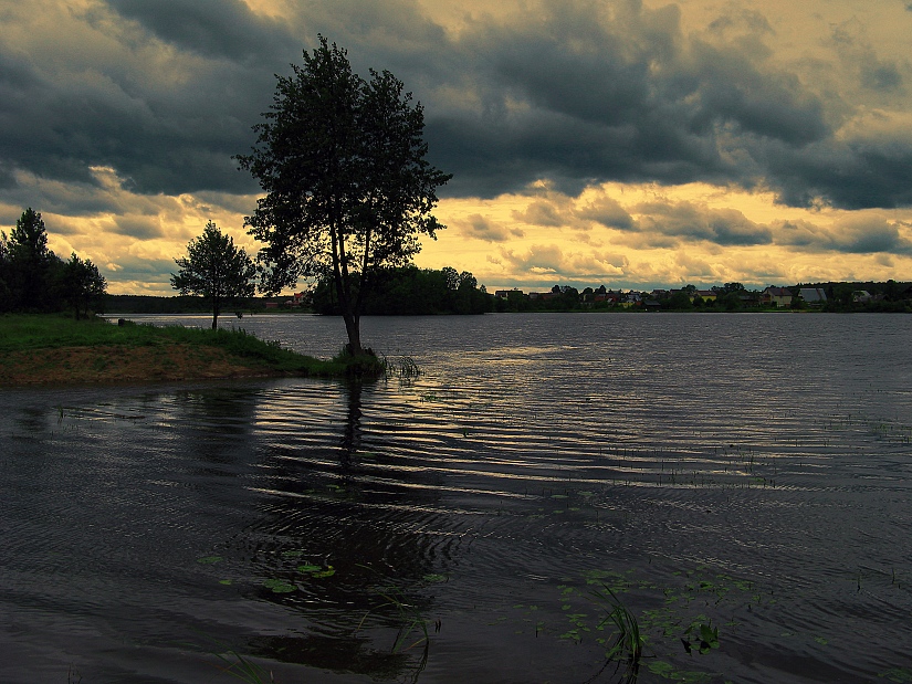 photo "Nord wind (3)" tags: landscape, summer, water