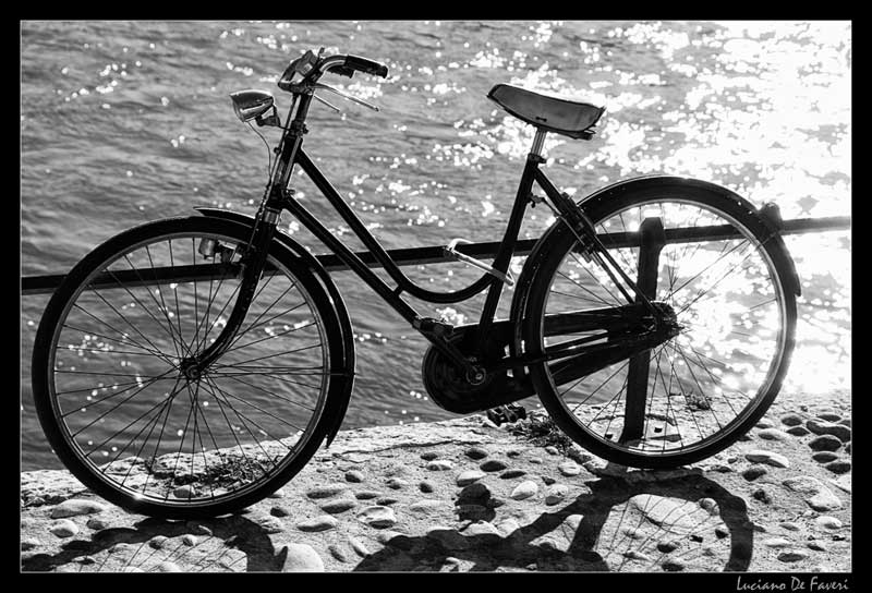 photo "The Bicycle" tags: black&white, 