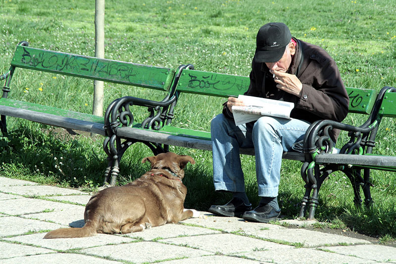 photo "The news devorer" tags: reporting, PF life, Bucharest, dog, parks, people