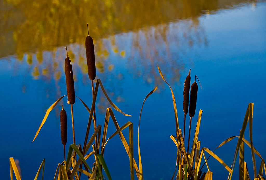 photo "***" tags: landscape, nature, 