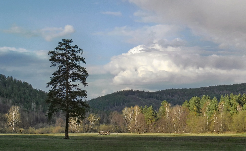 photo "***" tags: landscape, mountains, spring