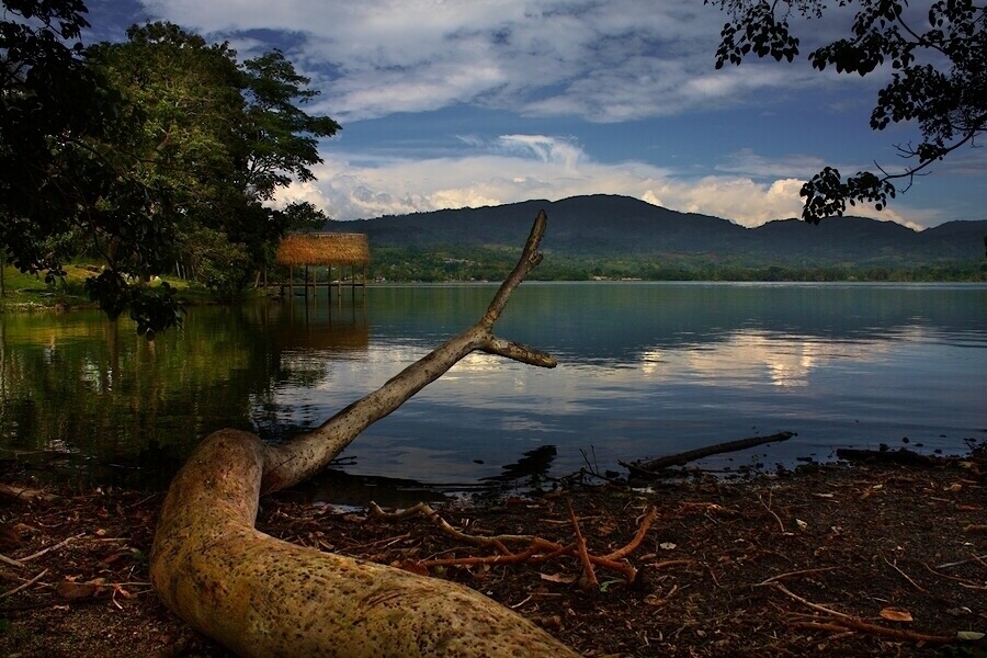 photo "Sauce lagun II" tags: landscape, water