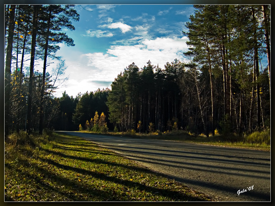 photo "Autumn shades" tags: landscape, autumn, forest