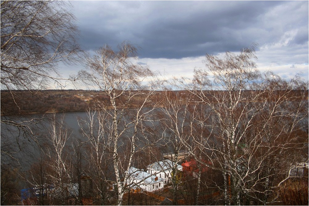 photo "Wind" tags: landscape, forest, spring