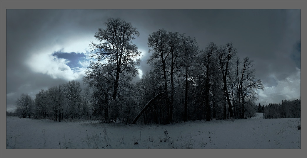 photo "Expectation of spring." tags: panoramic, landscape, winter