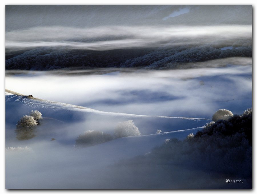 фото "Frozen Trees" метки: пейзаж, горы, зима
