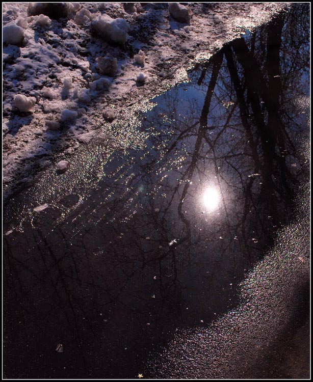 фото "reflection of coming spring" метки: пейзаж, город, вода