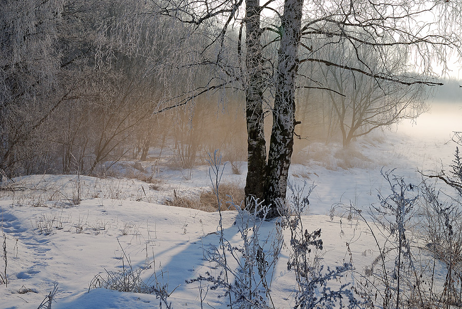 photo "***" tags: landscape, forest, winter