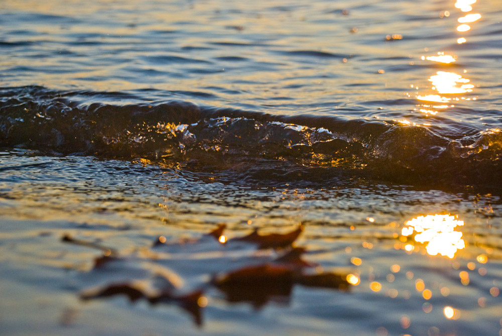 фото "морская осень" метки: пейзаж, вода, осень