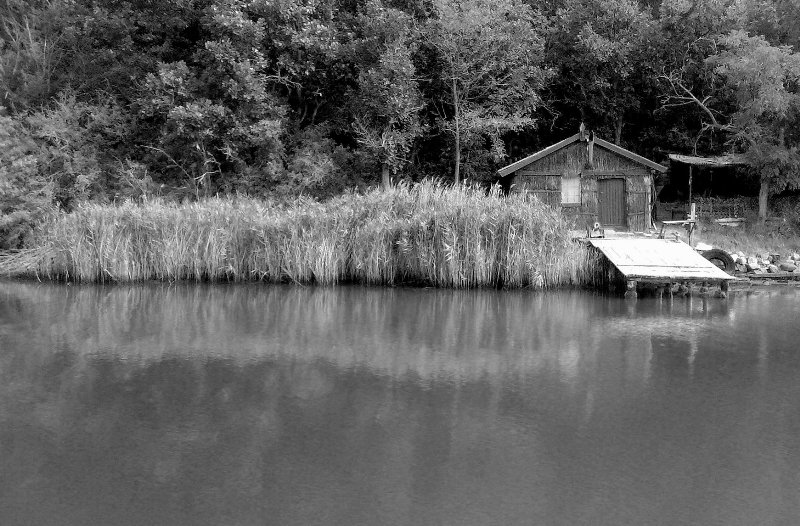 photo "***" tags: landscape, 
