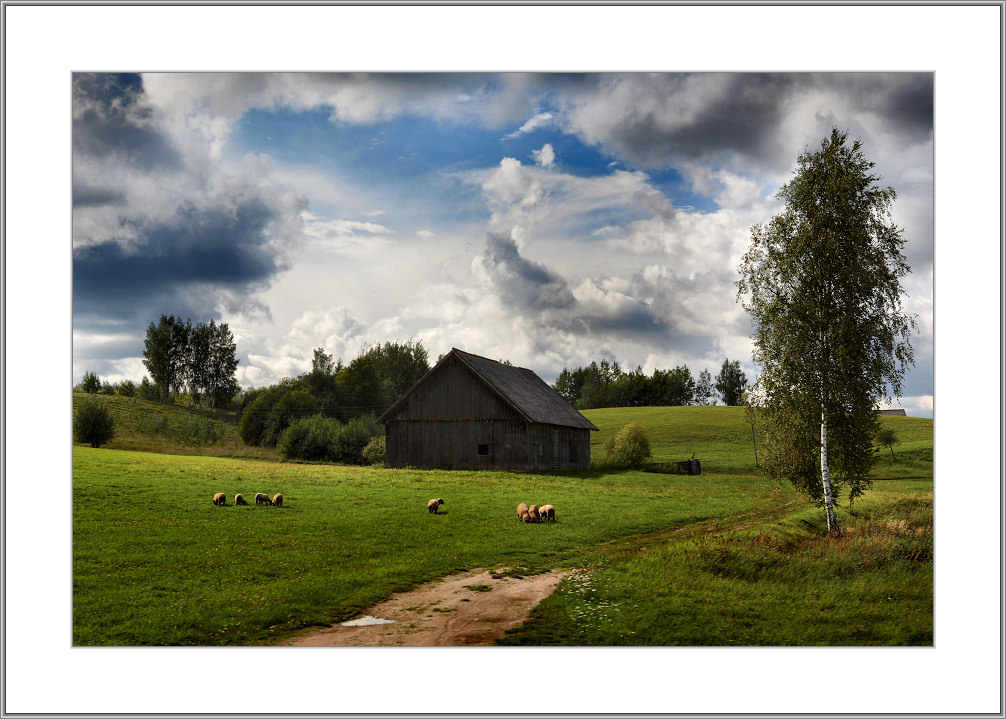 photo "***" tags: landscape, spring