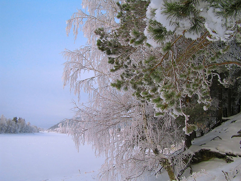 photo "Christmas" tags: landscape, winter