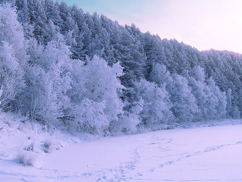 фото "Берег Уфы" метки: пейзаж, зима