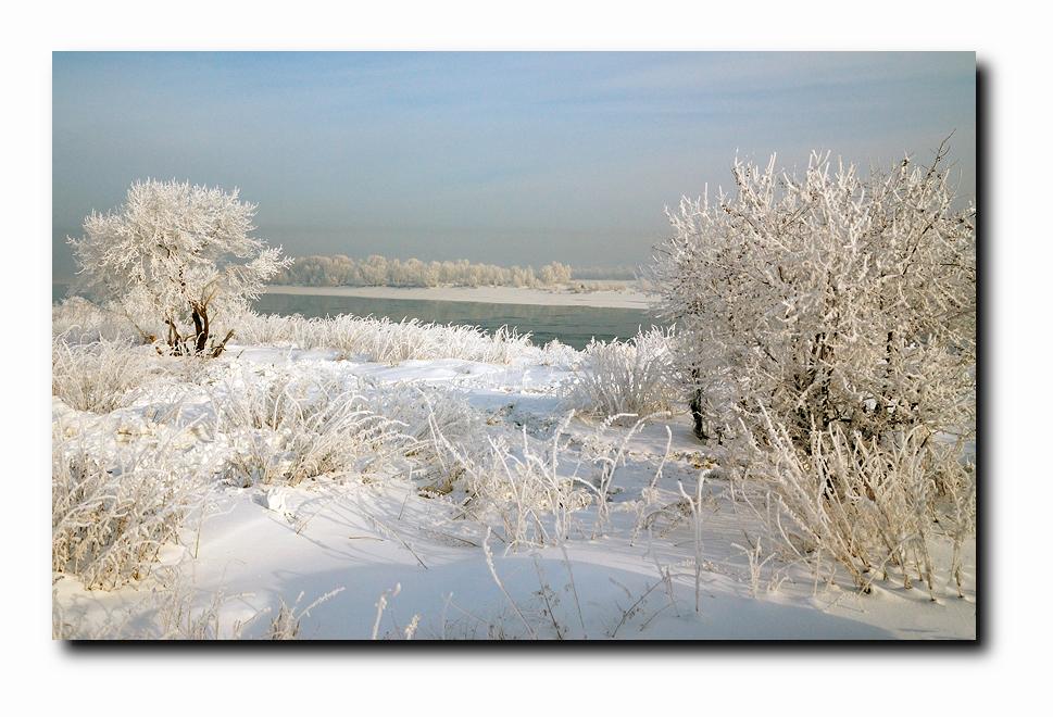photo "***" tags: landscape, forest, winter