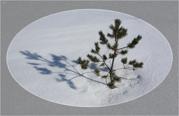 photo "***" tags: fragment, landscape, winter