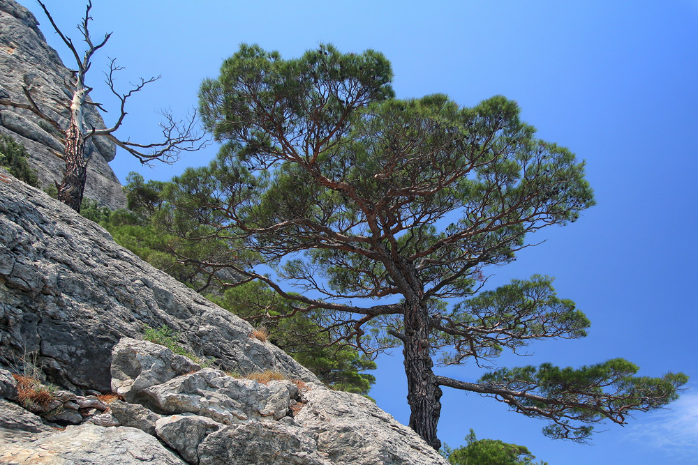 photo "***" tags: landscape, mountains