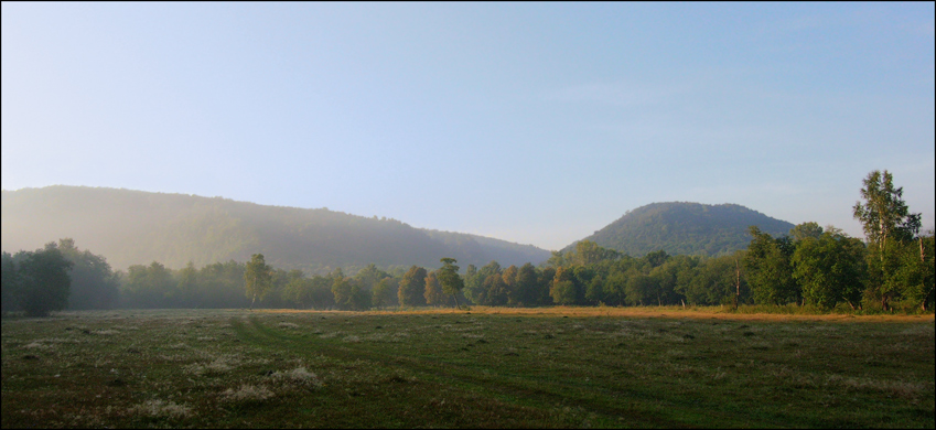 photo "***" tags: landscape, forest, summer