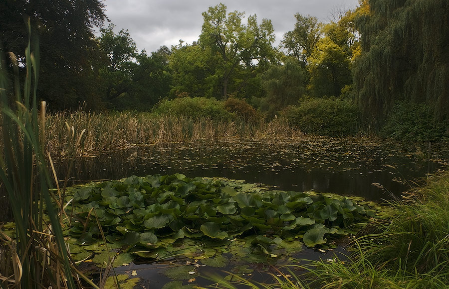 photo "***" tags: landscape, 